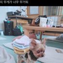 시흥대로123길 이미지
