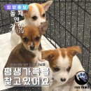 포포스앤