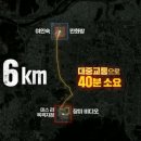 장미비디오 이미지