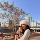 손담비 카카오 검색결과