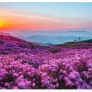 명산목장 이미지