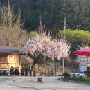 주주산방