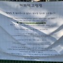 멍멍테라스 이미지