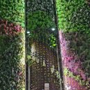 천안고든정형외과의원 이미지