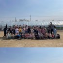 용인대 태풍태권도 이미지