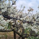 성립농장 이미지