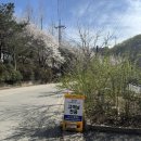 강촌1225 이미지