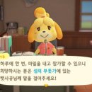 파니투어 이미지