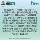 콩깍지 이미지