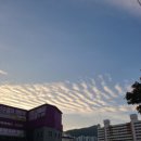 장보고회수산센타 덕천점 | 전어회 아나고 회 장보고 회수산센터 덕천점 소소한 일상