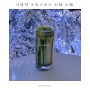 방배천로 24 (4) | 사당역 크리스마스 카페 오쎄 | 서울 대형 식물원 플랜테리어 카페