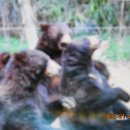 오행복한공인중개사사무소 이미지