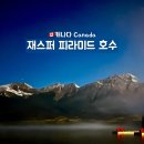 알버타 재스퍼 아름다운 피라미드 호수 가는 길에 곰세마리 만난 후기
