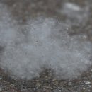 가좌약국 이미지