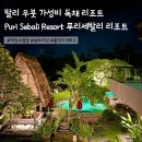 발리 우붓 가성비 풀빌라 독채리조트 푸리세발리 내돈내산 후기