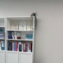 세무법인내일 이미지