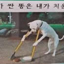 토탈스팀세차