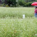 21일까지 최대 150㎜ '가을비'…남부엔 집중호우로 강하게 내릴 듯 이미지