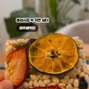 서귀동-58 네이버블로그