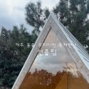 선흘림 네이버블로그