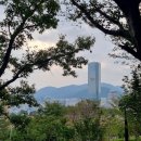 황령산유원지 생태숲 이미지
