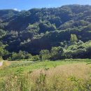 금산 태양광발전소 이미지