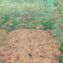 기특이네 농장 이미지