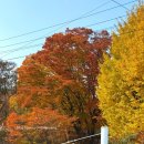 동막8 1소교량 | 강화도 단풍구경 강화샌드와 동막해변 구경까지-강화도당일치기 2편