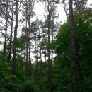 구불5길(물빛길) 이미지