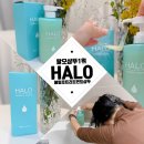 (주)한결상사 | 탈모샴푸1위/HALO헤일로트리트먼트샴푸/올인원샴푸 사용후기