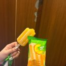 라벨라코리아 | 베트남 호치민 여행 ② _ 호치민 3박4일 / 호치민맛집 / 그랜드사이공 (24.05.11~05.14)