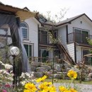 무수목장 이미지