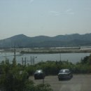 장어마을 웅천 이미지