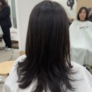 부산센텀헤어샵 디바인즈헤어스튜디오 센텀시티역미용실 미디움 레이어드컷 후기