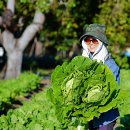 기쁨농장 이미지