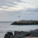 제주시 구엄어촌계 이미지