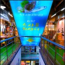 농산물종합시장(중앙청과시장) | 속초 가볼 만한 곳 속초종합중앙시장 수산물회센터 속초관광수산시장 활어회센터