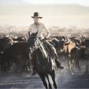 소모아농장 이미지