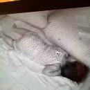생후+303) 10개월아기 돌발진,돌치레 비교 (창원 아기 응급실,119의료상담,응급실진료비)
