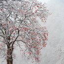 사진전시 이미지