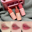 재형26호 | 페리페라 누디브루 잉크더벨벳 신상 웜톤틴트 후기