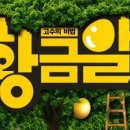 황금알 이미지