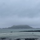 서쪽아이 이미지