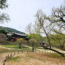 도동 | 국가유산 방문자여권 대구 달성 도동서원 방문 후기
