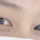 맨오브래쉬 이미지