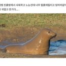 유박사 이미지