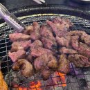 모이세돈숯불뒷고기 | 울산 중구 병영 맛집 숯불에돼지 돼지갈비 뒷고기 가성비 회식장소 가족외식 추천
