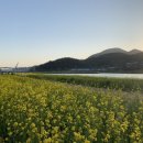 신기강변로 이미지