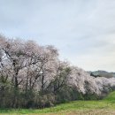 경인목장 이미지