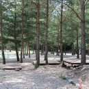 솔밭야영장 이미지